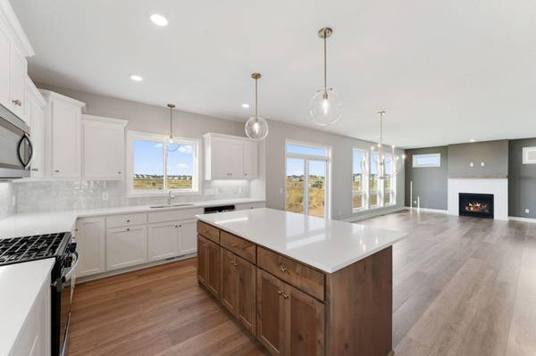 15035 Ardmullivan LN, Rosemount, MN 55068