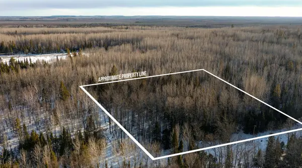 TBD Parcel S Thomas Road, Tower, MN 55790