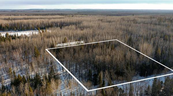 TBD Parcel S Thomas Road, Tower, MN 55790