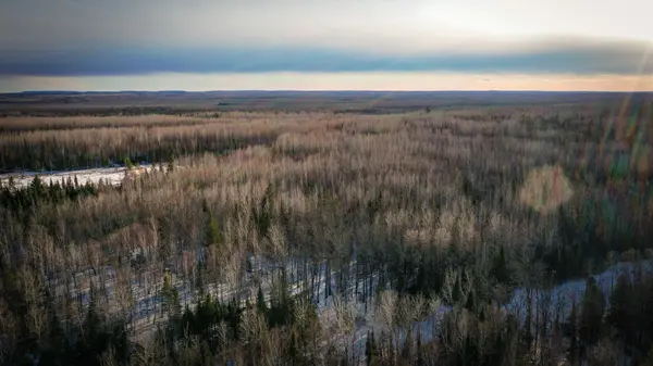 TBD Parcel S Thomas Road, Tower, MN 55790