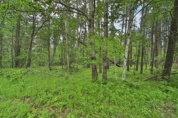Lot 15 Cedar ST, Breezy Point, MN 56472