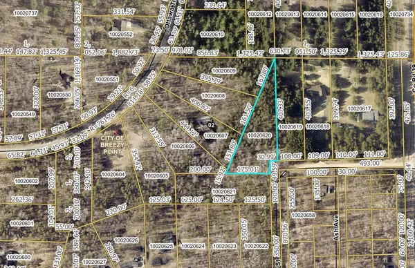 Lot 15 Cedar ST, Breezy Point, MN 56472