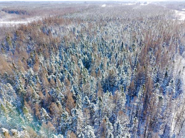 XXXX Hwy 73, Cromwell, MN 55726