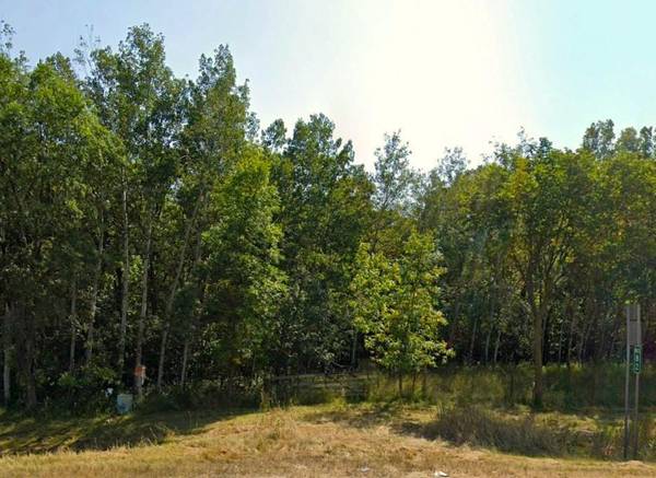 TBD State Hwy 29 N, Alexandria, MN 56308