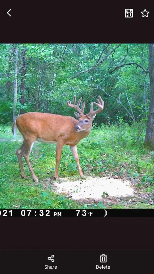 TBD 15th ST NW, Bemidji, MN 56601
