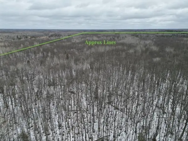TBD Spangrud CT NE, Kelliher, MN 56650