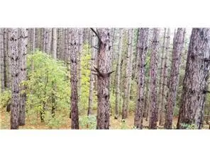 Lot 3 Paulsen Lake Lane, Osceola, WI 54020