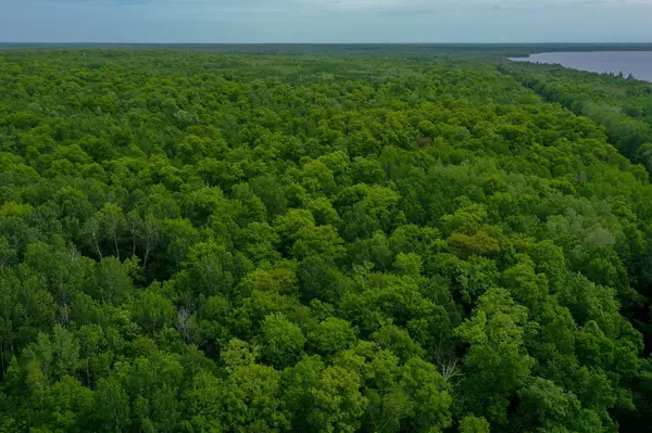 TBD- 315th AVE, Laporte, MN 56461