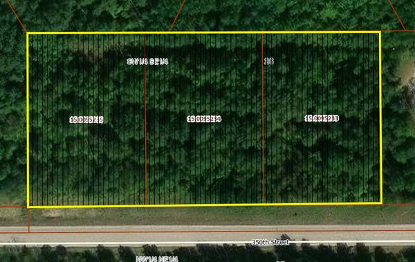 TBD 350th ST, Warroad, MN 56763