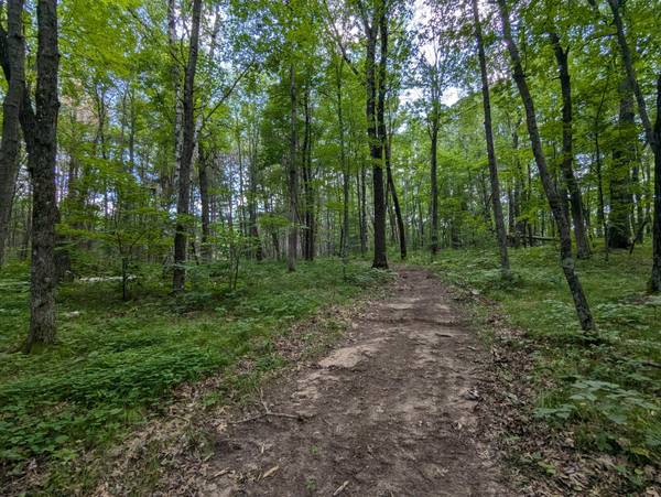 Lot 2 Fosmo, Webster, WI 54893
