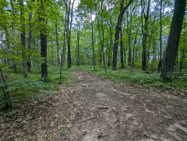 Lot 2 Fosmo, Webster, WI 54893