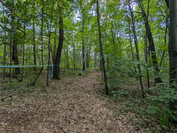 Lot 4 Fosmo, Webster, WI 54893
