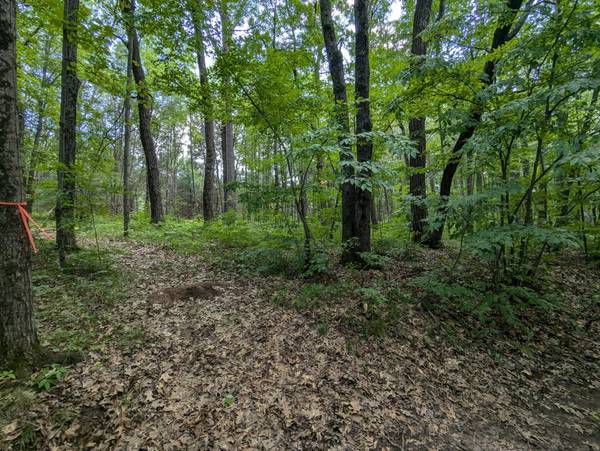 Lot 5 Fosmo, Webster, WI 54893