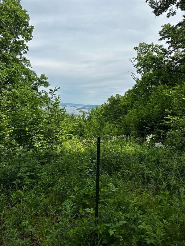 Lot 1 Alma Hills, Alma, WI 54610