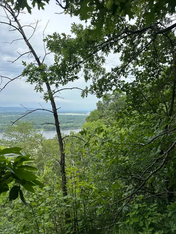 Lot 1 Alma Hills, Alma, WI 54610