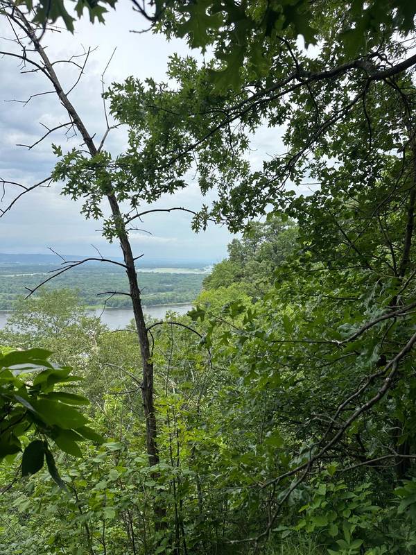Lot 1 Alma Hills, Alma, WI 54610