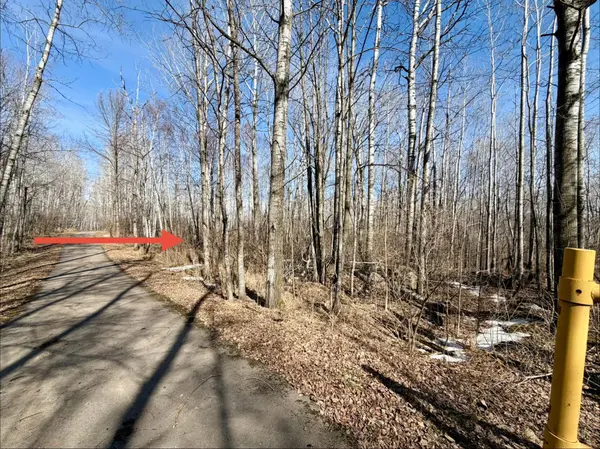 TBD First AVE N, Kelly Lake, MN 55746