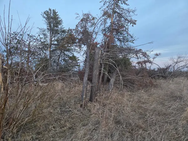 TBD Lot 5 Beartooth AVE SW, Bemidji, MN 56601