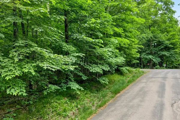 TBD Ripley Spur RD, Sarona, WI 54870
