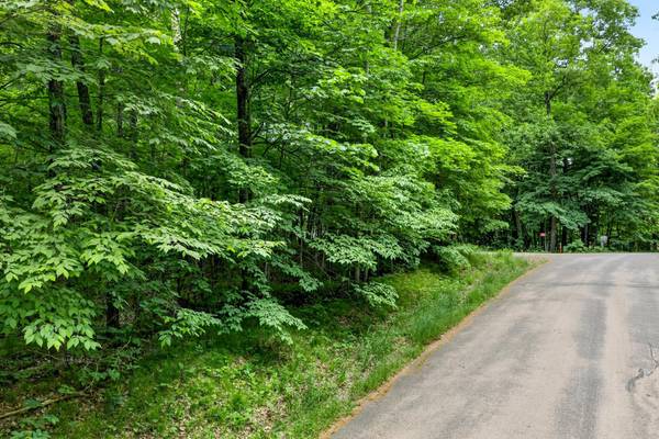 TBD Ripley Spur RD, Sarona, WI 54870
