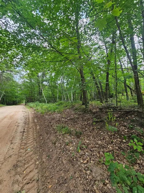 TBD Tract C Richfield RD SW, Pillager, MN 56473