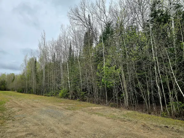 TBD 4th Avenue 22nd Street W, International Falls, MN 56649