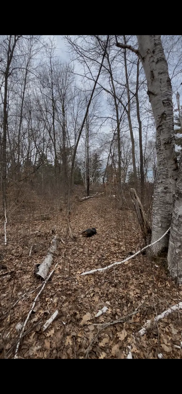 TBD Big Pine Trail, Crosslake, MN 56442