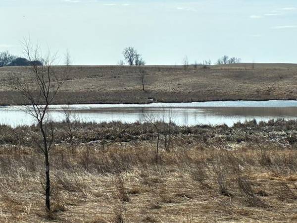 27181 Cr-10, Starbuck, MN 56381