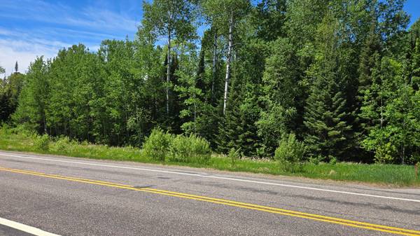 TBD 21 Nett Lake RD, Orr, MN 55771