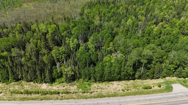 TBD 21 Nett Lake RD, Orr, MN 55771