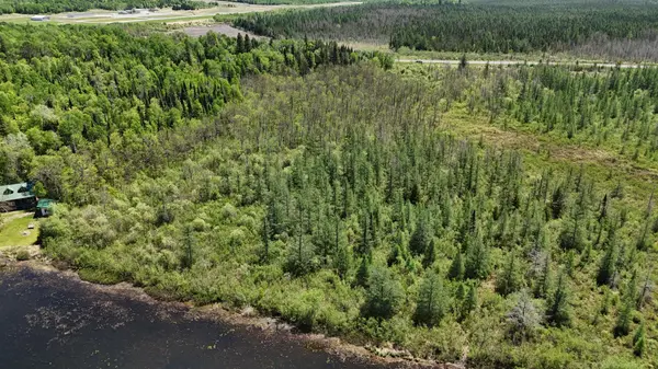 TBD 21 Nett Lake RD, Orr, MN 55771