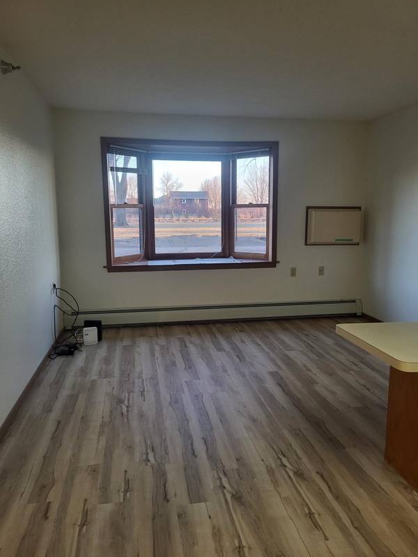 609 Main ST S #4, Renville, MN 56284