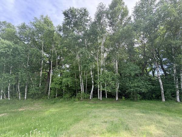 21781 Trestle Ridge RD, Albany, MN 56307