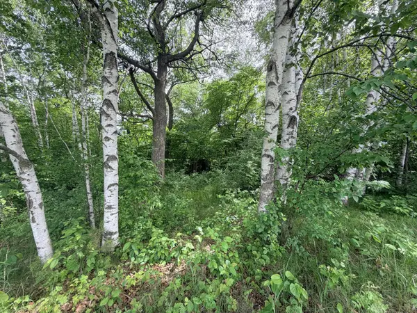 21781 Trestle Ridge RD, Albany, MN 56307