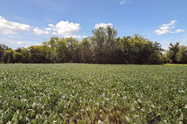 24x3 Holy Name DR, Medina, MN 55340