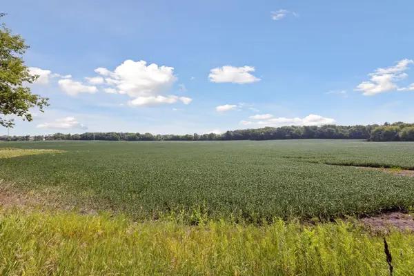 24x3 Holy Name DR,  Medina,  MN 55340