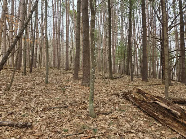 Lot 3 732nd AVE, Menomonie, WI 54751