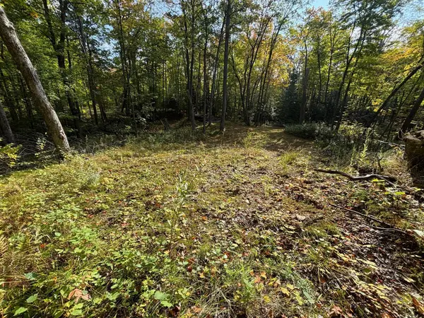 TBD North Sherrys Arm Road, Grand Rapids, MN 55744