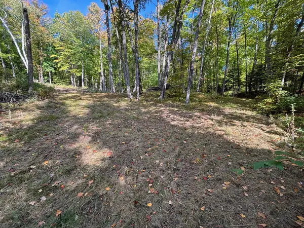 TBD North Sherrys Arm Road, Grand Rapids, MN 55744
