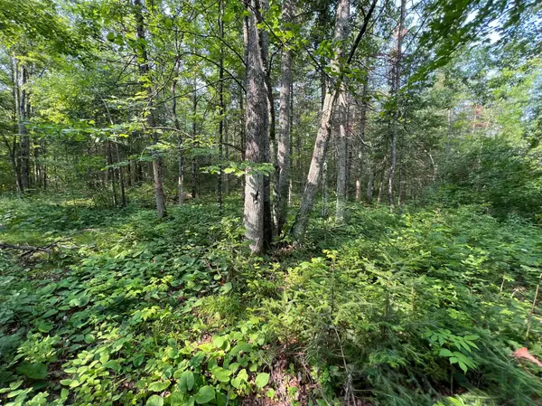 W8804 Timber TRL, Ladysmith, WI 54848