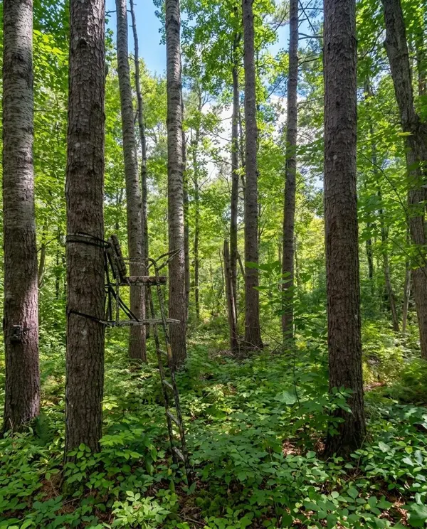 64838 Kingsdale RD, Sandstone, MN 55072