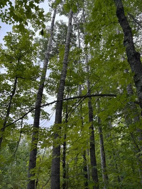 64838 Kingsdale RD, Sandstone, MN 55072