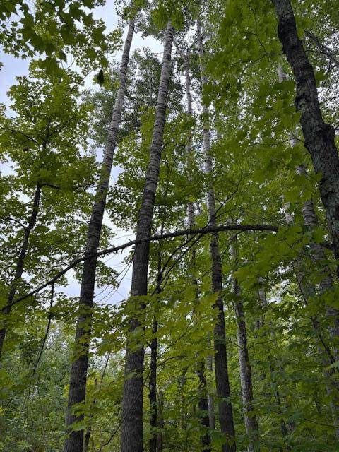 64838 Kingsdale RD, Sandstone, MN 55072