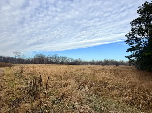 XX Forest BLVD, Rush City, MN 55069