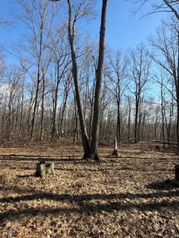 TBD Woodchuck Trail, Cushing, MN 56443