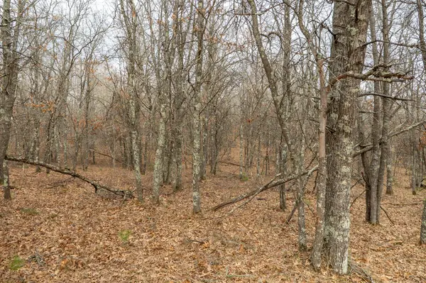 Lot 6 S Madison AVE, Wascott, WI 54838