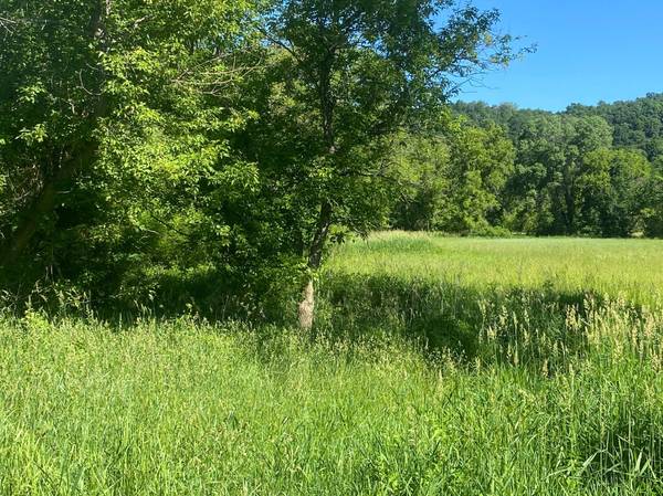 27333 Deep River RD, Lanesboro, MN 55949