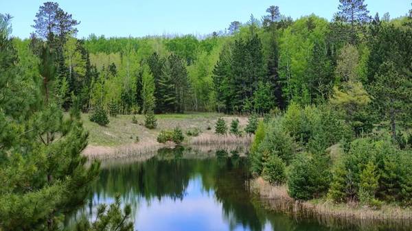 80064 Osprey Pass, Tower, MN 55790