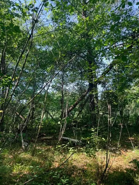 000 University AVE, Isanti, MN 55040
