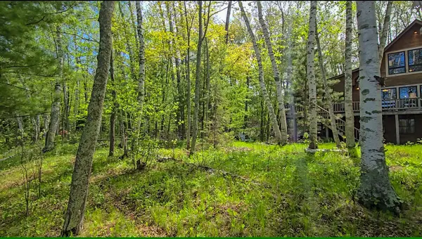 19520 Blue LN E, Emily, MN 56447